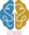 GitMind Pro